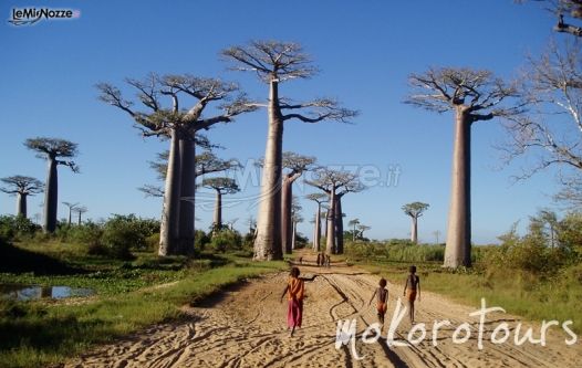 Mokoro Tours - Agenzia per viaggi di nozze in Africa 