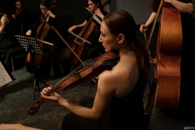 Violinista e Organista per la Cerimonia e Ricevimento - Violinista Piacenza