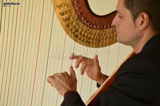 Andrea Bonaldo suona l'arpa durante un matrimonio