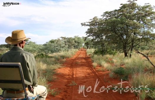 Mokoro Tours - Agenzia per viaggi di nozze in Africa