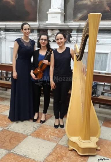Violino soprano e arpa - Serena Zucco