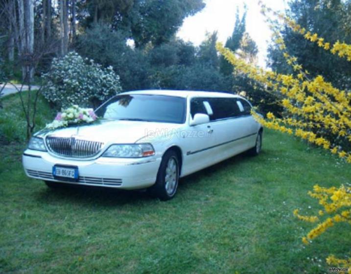Lincoln town car royale