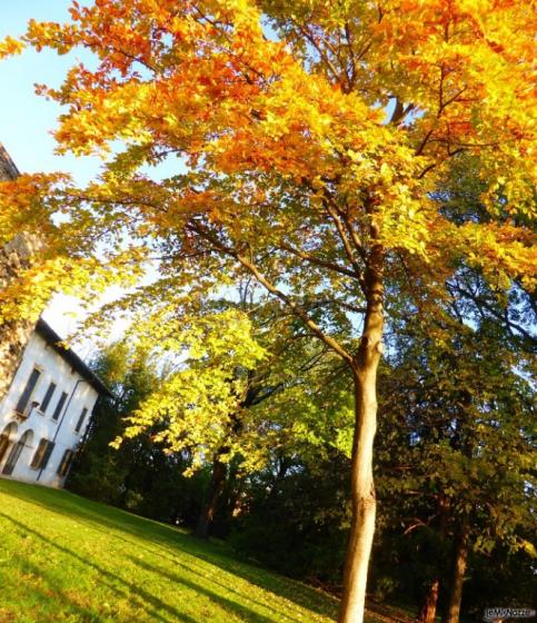 D'autunno il giardino di Villa da Prato si accende di bellissimi colori