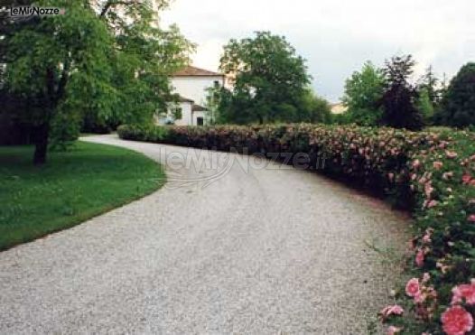 Viale d'ingresso Villa Cavarzerani