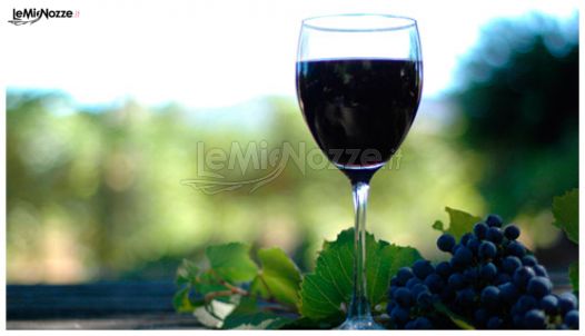 Il delizioso vino prodotto dal Casale