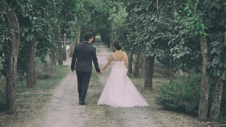 V|F FilmWord - Gli sposi a passeggio nel parco