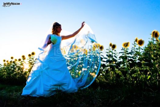 Foto della sposa tra i girasoli