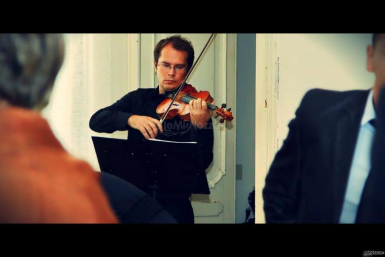Violino solo - Quartetto Genovese