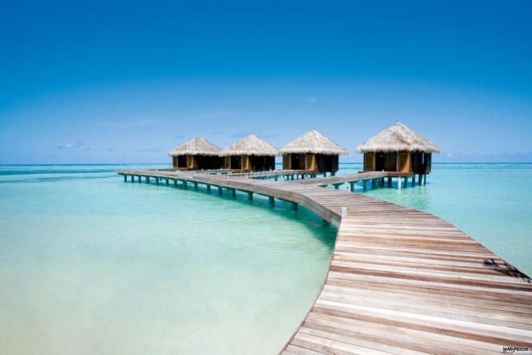 I viaggi di Sildan di Dasi Tour - Maldive: spiagge bianchissime e acque cristalline.
