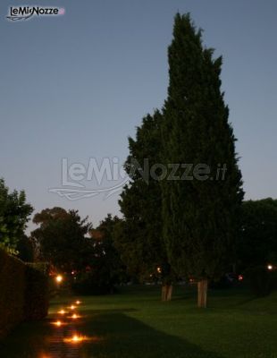 Cipressi e pini secolari del parco della villa