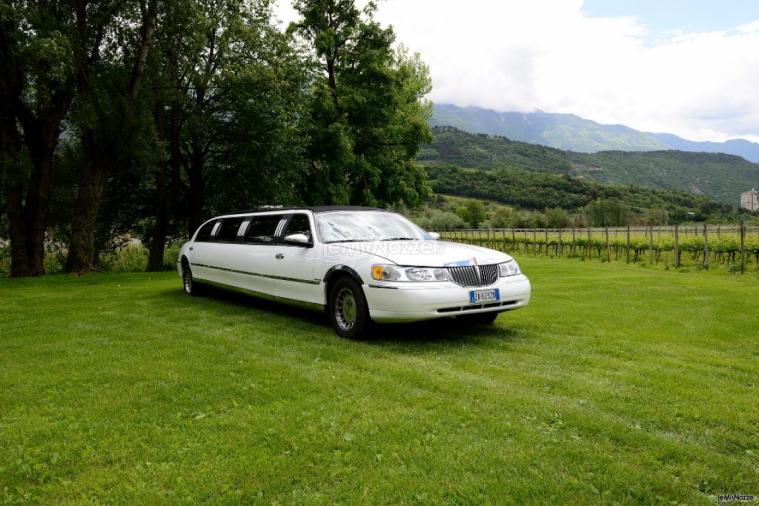 Carrozzeria Autodelta - Limousine noleggiata a Dro