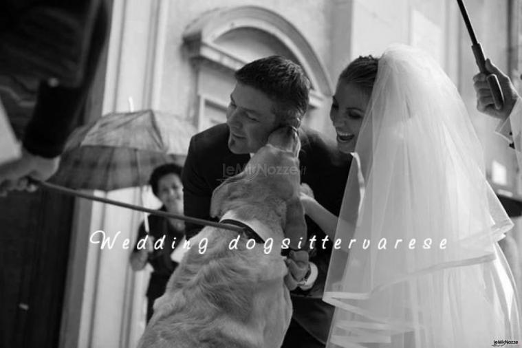 Theo e sposi - Wedding dogsittervarese