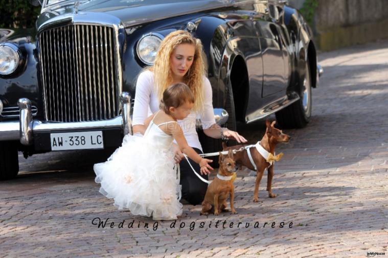 Bimba e auto d'epoca - Wedding dogsittervarese