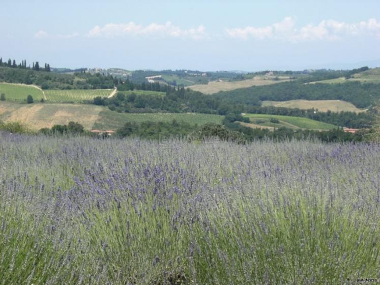 il paesaggio circostante