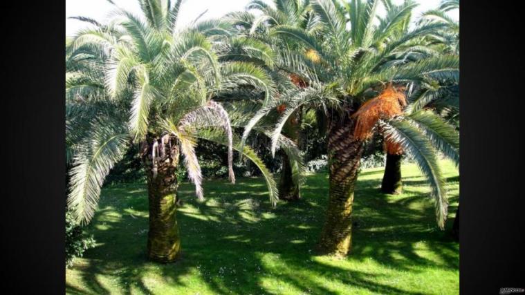 Agriturismo Cavendo Tutus - L'oasi delle Palme